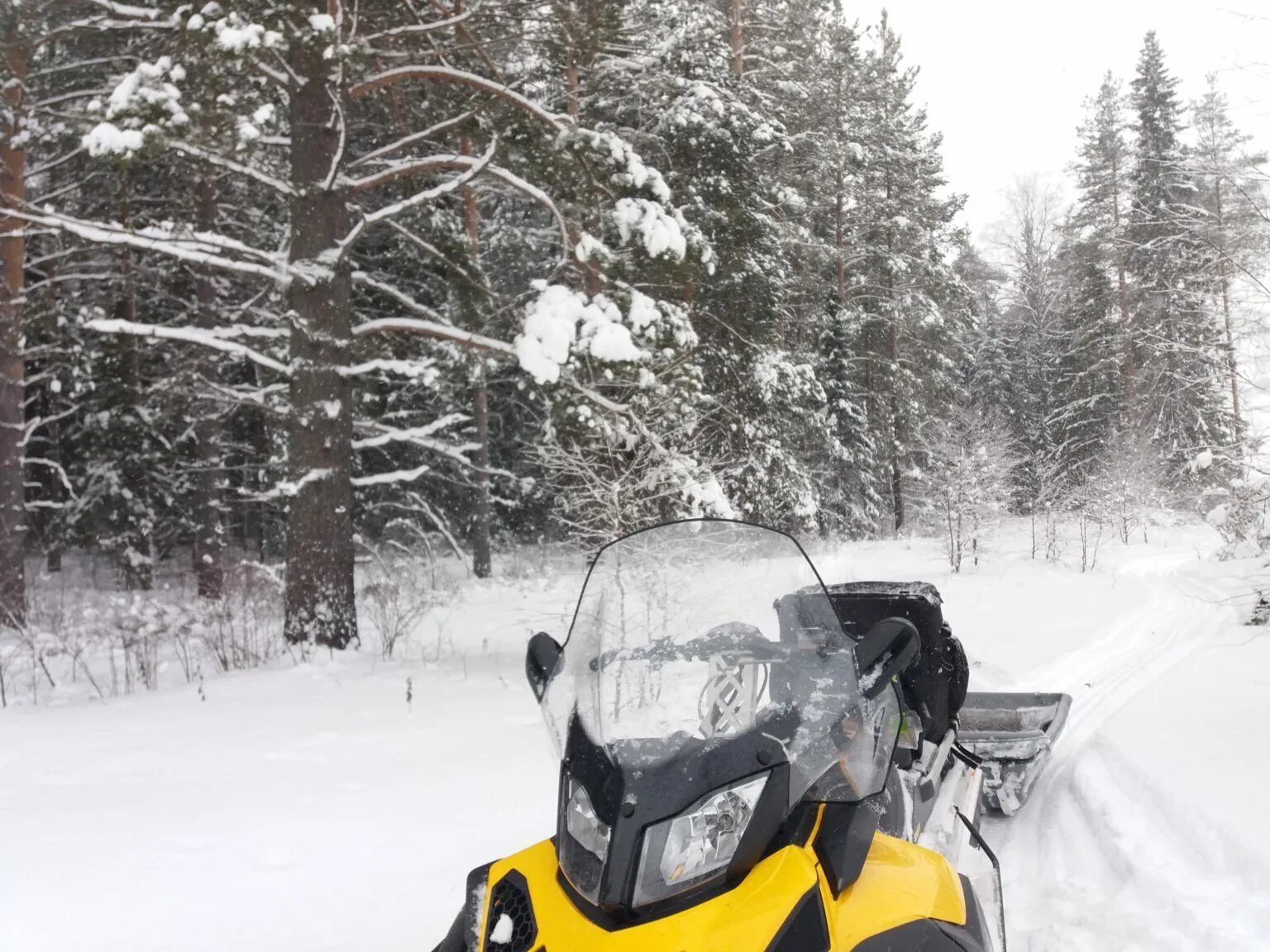 Купить снегоход в костроме. Снегоход Tayga patrul 800 SWT. Снегоход Тайга патруль 800 SWT. Tayga patrul 550 SWT. Снегоход Тайга патруль 551 свт.