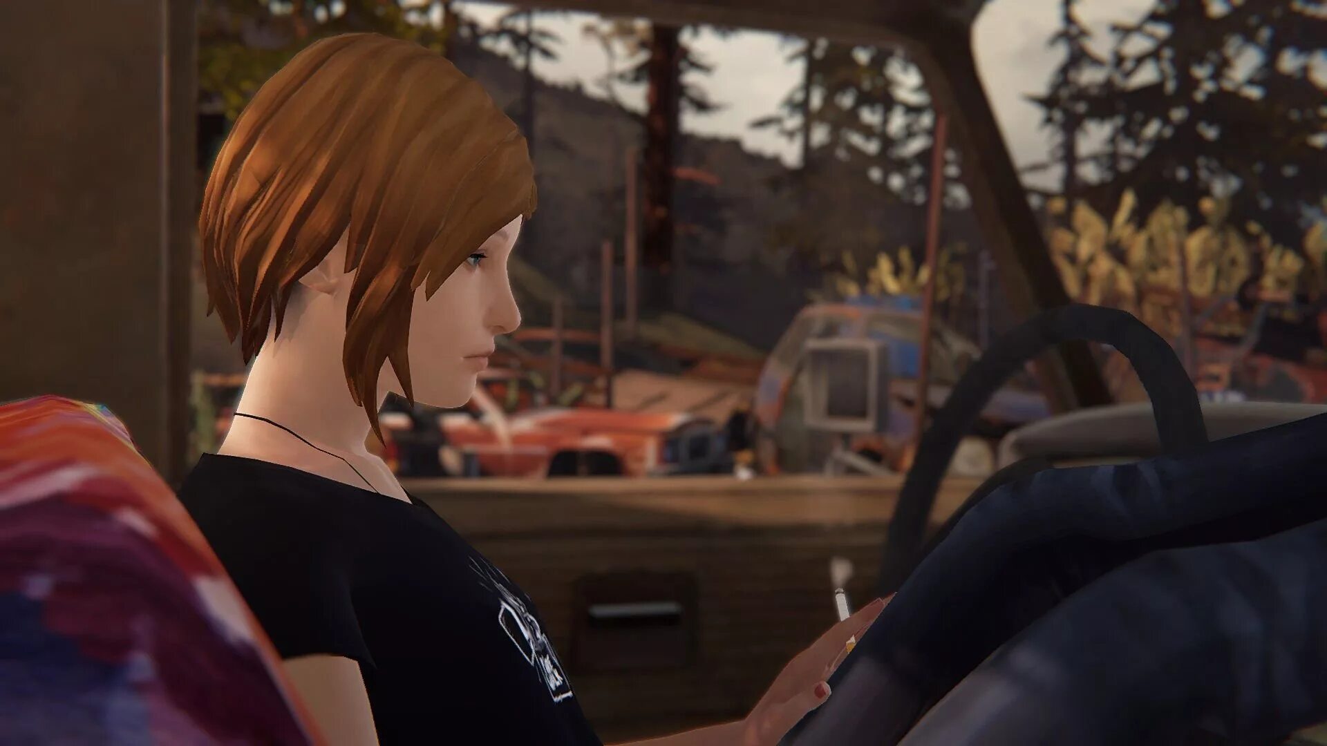 Life is Strange: before the Storm. Life is Strange / Life is Strange: before the Storm. Lis BTS.