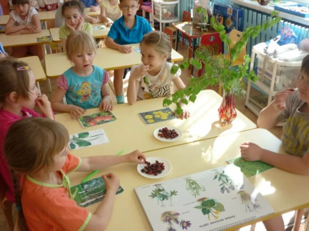 Средняя группа занятие мир природы