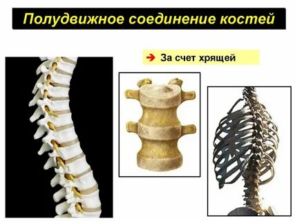Гениальны проекты деревянных мостов разработанные кулибиным синтаксический