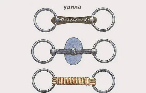 Удила