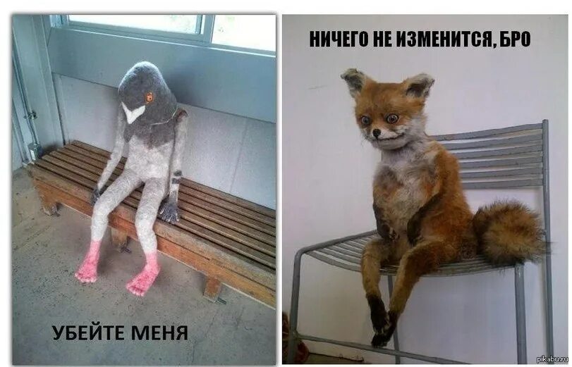 Ничего не изменилось то есть