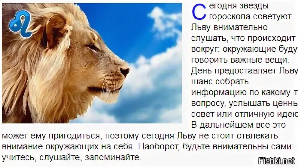 Гороскоп на сегодня лев мужчина. Знаменитости знака зодиака Лев. Звезды львы по гороскопу. Знаменитости львы по знаку зодиака. Знаменитости мужчины львы по гороскопу.