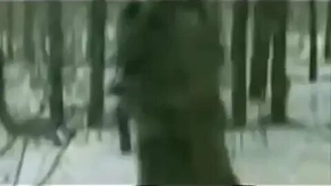 Клип ивана кучина в телогрейке