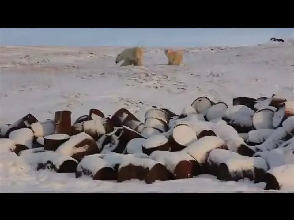 Остров котельный фото The Best Of Russia 2017