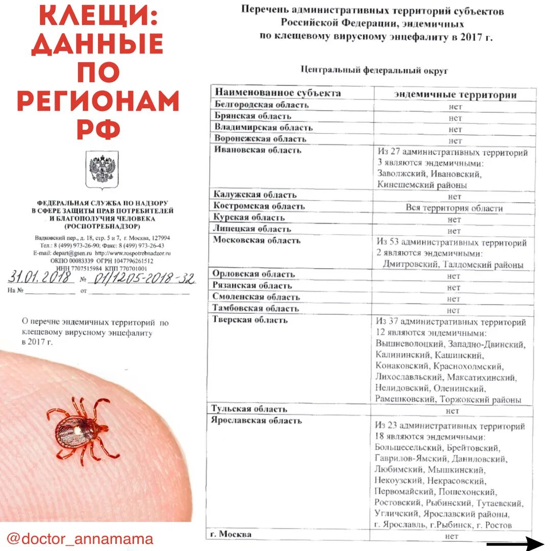 Где водятся энцефалитные клещи. Клещевой энцефалит в Подмосковье. Клещевой энцефалит Подмосковье эндемичные районы. Энцефалитные клещи в Подмосковье.