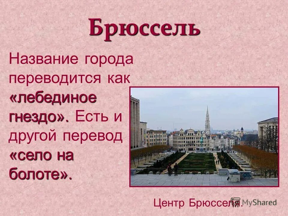 Как переводится село. Как переводится Брюссель. Проект про Брюссель. Как переводится г. Почему Брюссель называют Лебединое гнездо.