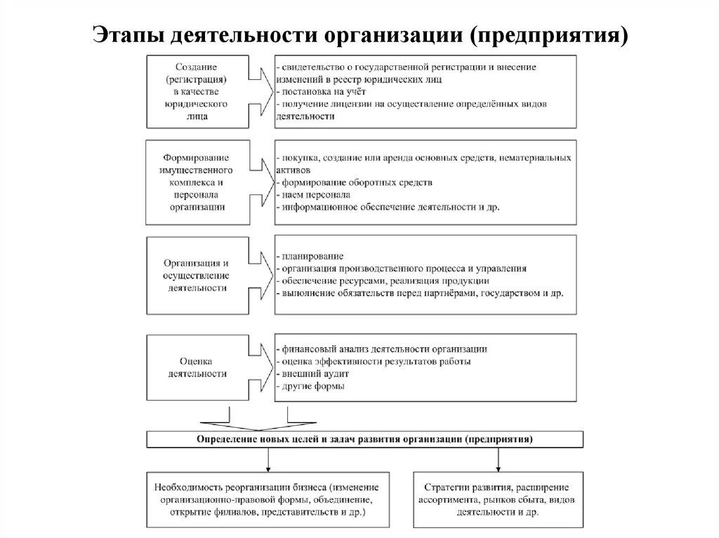 Этапы деятельности бизнеса