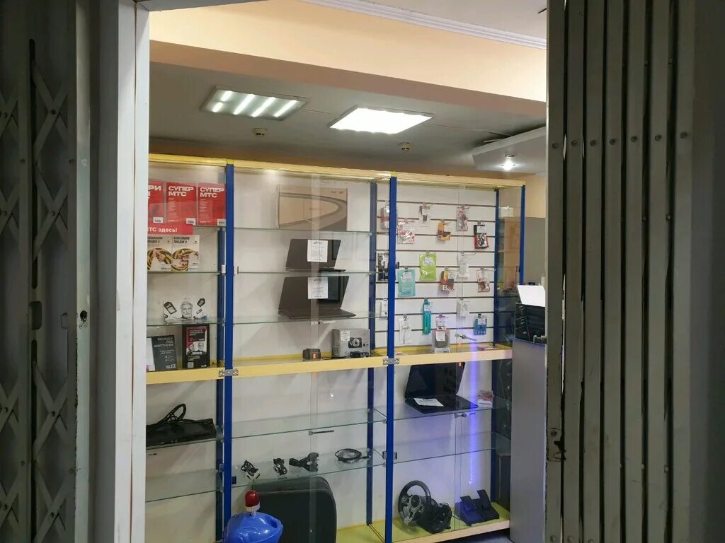 логотип белка с орехом. белка сервис. визитки цифровой техники. Belka логотип. двигатель камри 3.