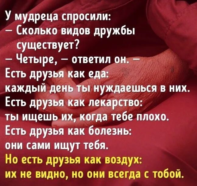 У мудреца спросили сколько видов дружбы существует. Есть друзья как.