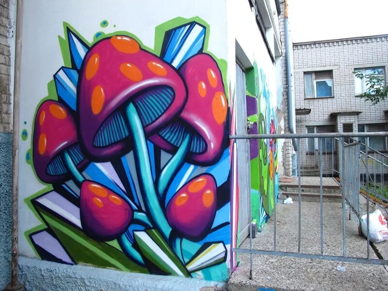 граффити. C215 стрит арты. граффити на стене. стены в баллоне. граффити на стене.