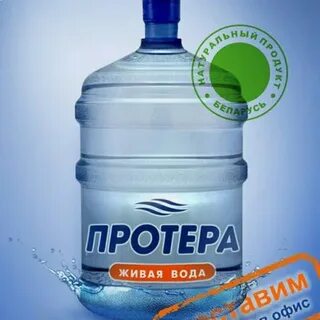 Протера