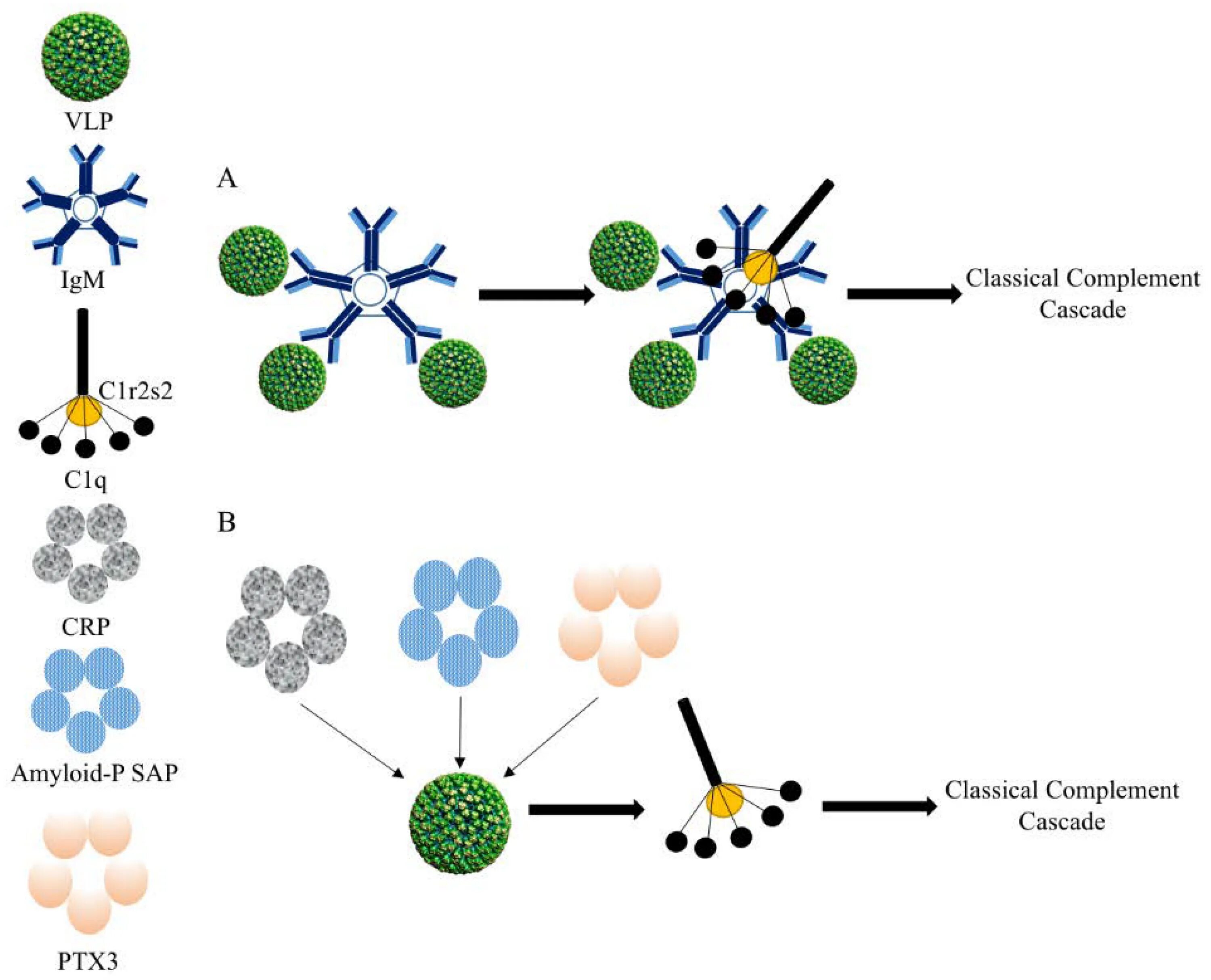 Like virus. Virus-like Particle. Virus like Particles vaccine. Virus-like Particle рисунок. Virus like Particles orf2.