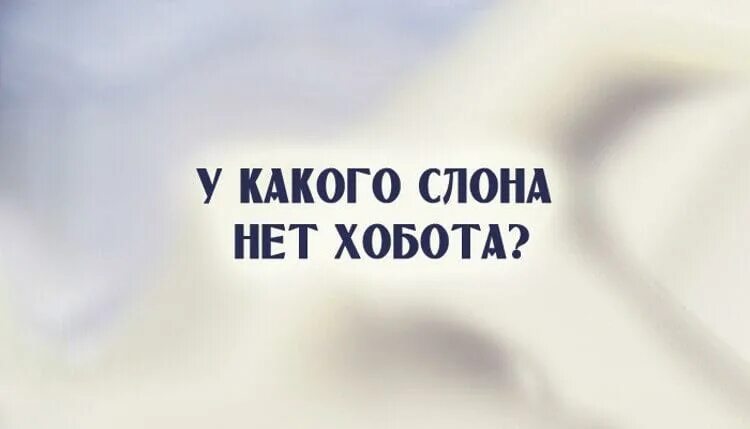 Давать очков вперед значение. Давать очков вперед. Давать десять очков вперед. Давать 5 очков вперед. Значение дать 100 очков вперед.