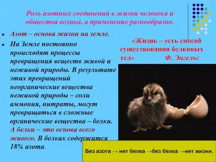 Охарактеризуйте биологическую роль азота
