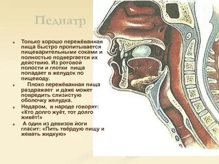Полость действующий