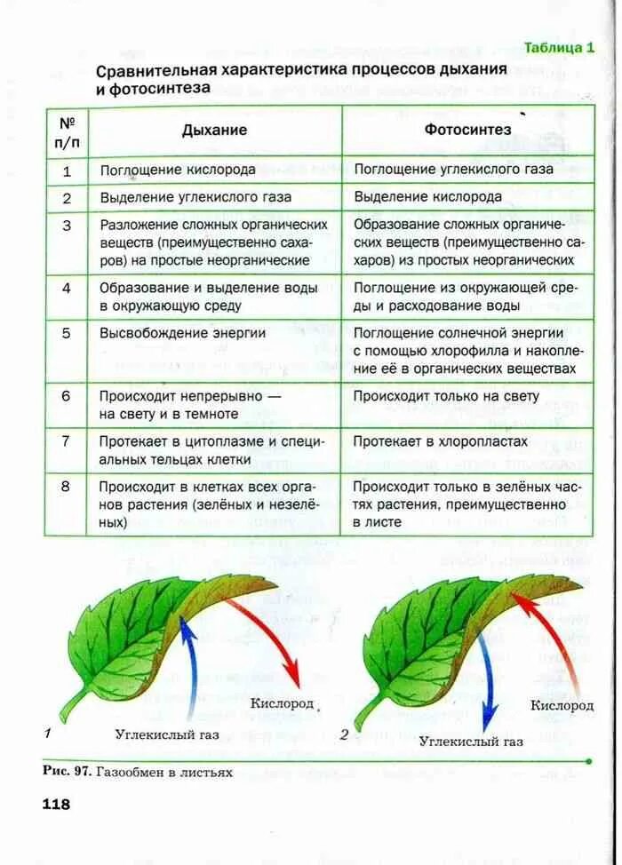Таблица сравнения фотосинтеза и дыхания 6 класс биология. Сравнение фотосинтеза и дыхания 6 класс таблица по биологии. Дыхание растений 6 класс биология таблица. Процесс дыхания и фотосинтеза у растений.