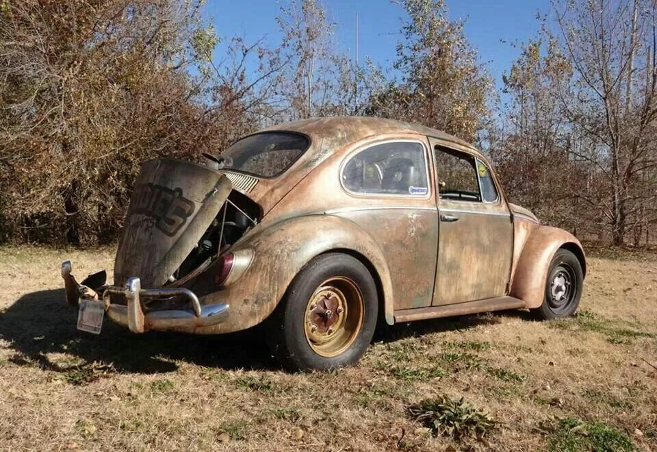 34 bug