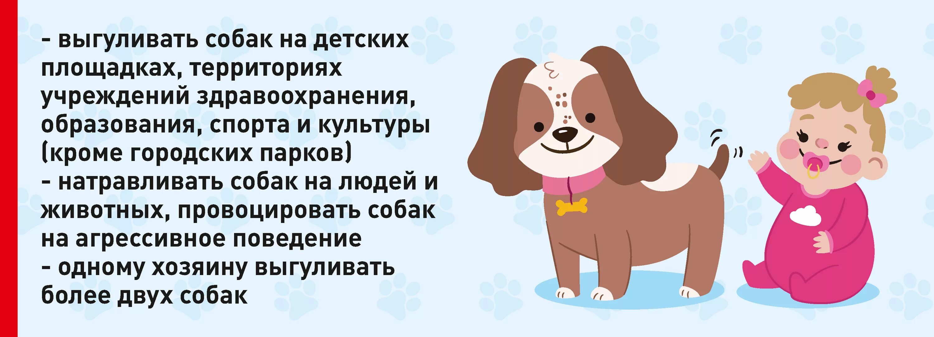 Объявление выгул собак. Выгул собак объявление. объявление о выгуле собак за деньги. объявление по выгулу собак. прикольные объявления о пристройстве щенков.