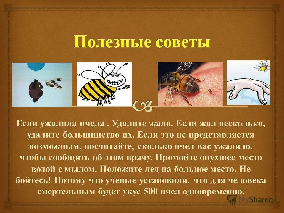 Аптечка для первой помощи при укусах насекомых. При укусе пчел ос необходимо. Первая помощь при укусе пчелы тест. Укусы животных и насекомых. Жалящие насекомые презентация.