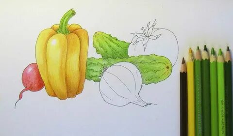 Рисование овощей 2 класс