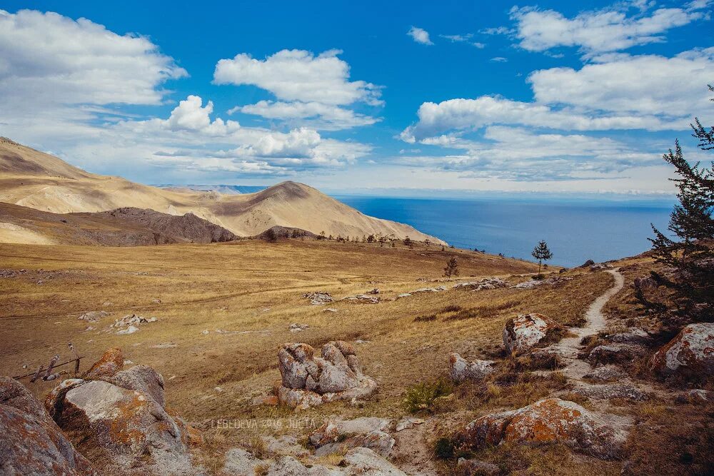Тажеранская степь на байкале. Долина каменных духов тажеранская степь. Тажеранские степи иркутск. Тажеранские степи иркутск. Степь ольхон байкал.