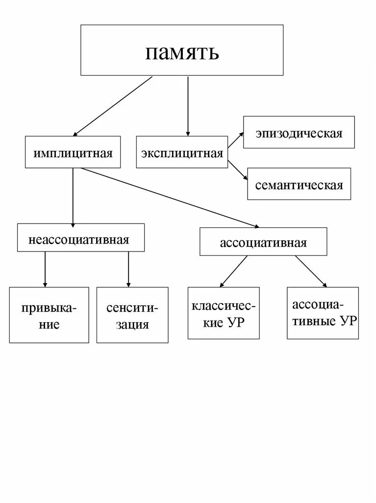 Имплицитная и эксплицитная память. Эксплицитный память и семантическая. Семантическая и эпизодическая память. Эксплицитная память виды.