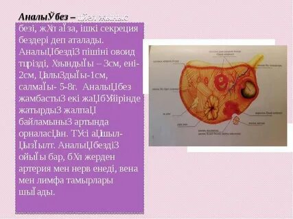 Емшек сүтінің жынысы