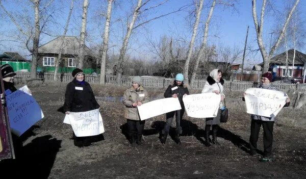 Погода правда алтайский край волчихинский