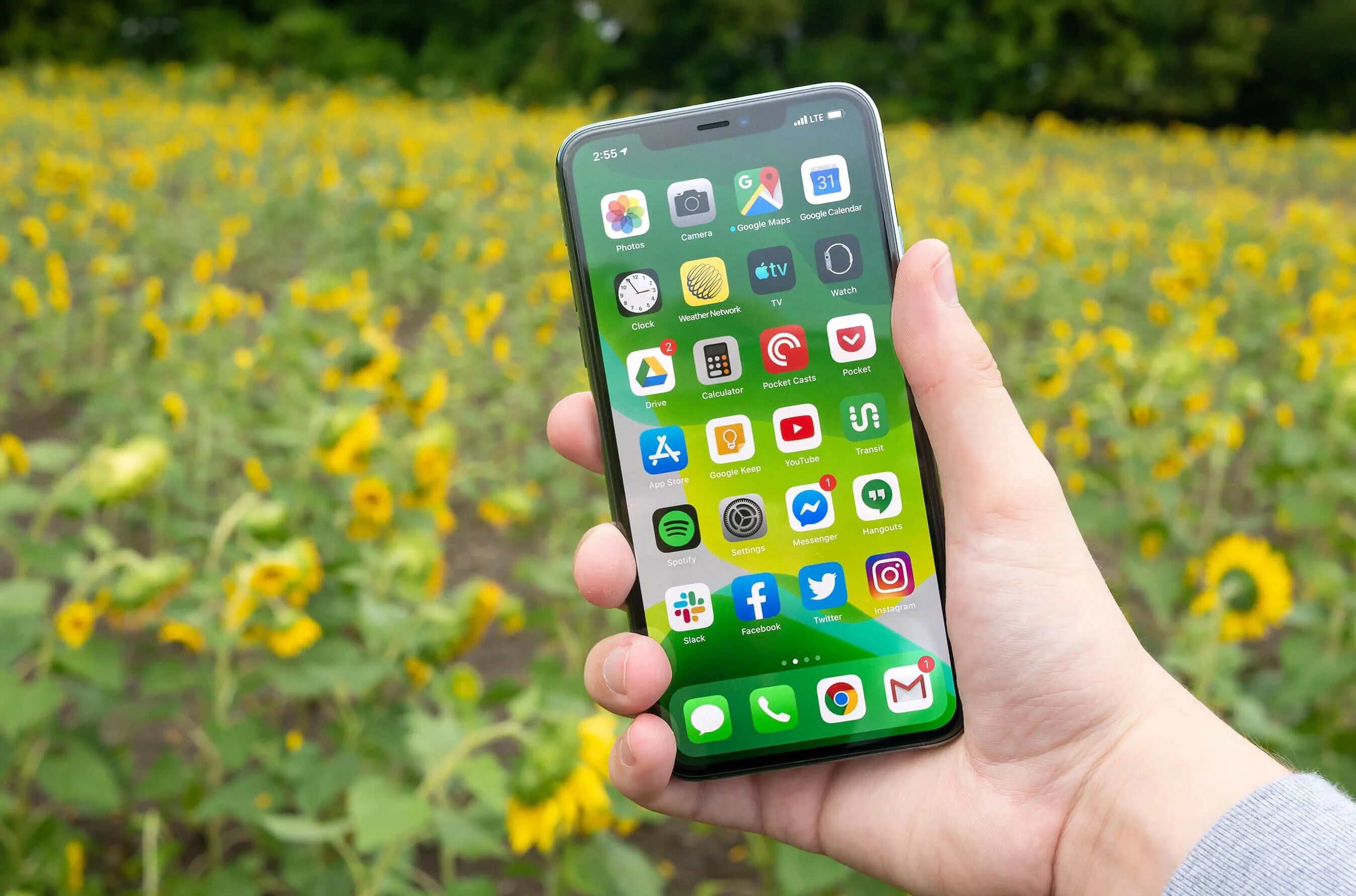 Фото на весь экран iphone. Iphone 11 pro зеленый. apple iphone 12 green. iphone 12 pro max. iphone 11.