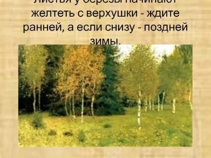 Желтеет число