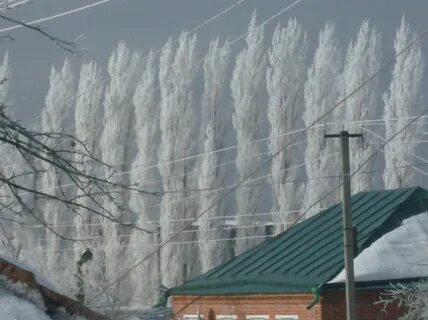 Погода в углянце воронежской