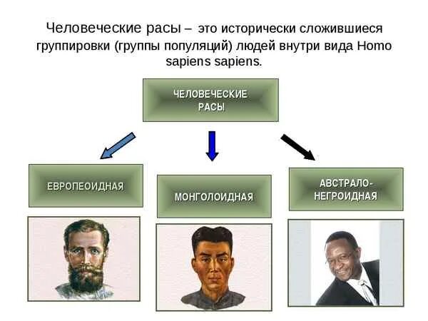 Презентация человеческие расы их родство и происхождение