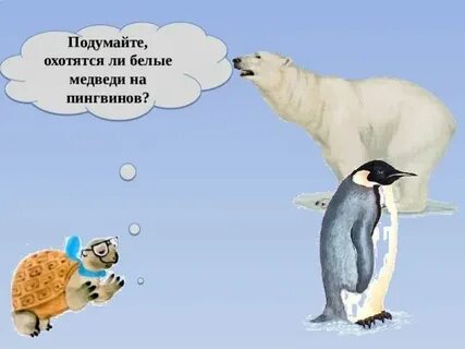 Медведи охотятся на пингвинах