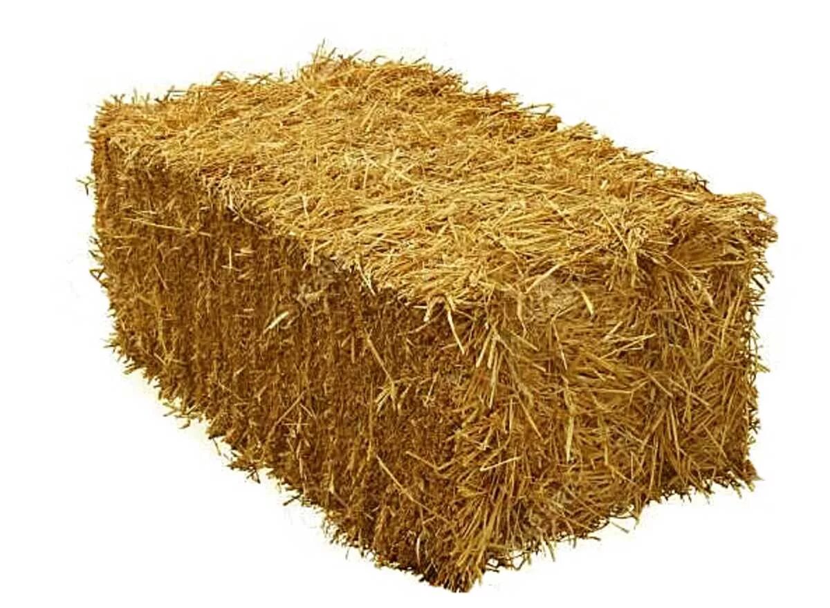 Солома с отрубями