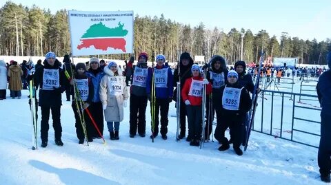 Сайт минзема республики башкортостан