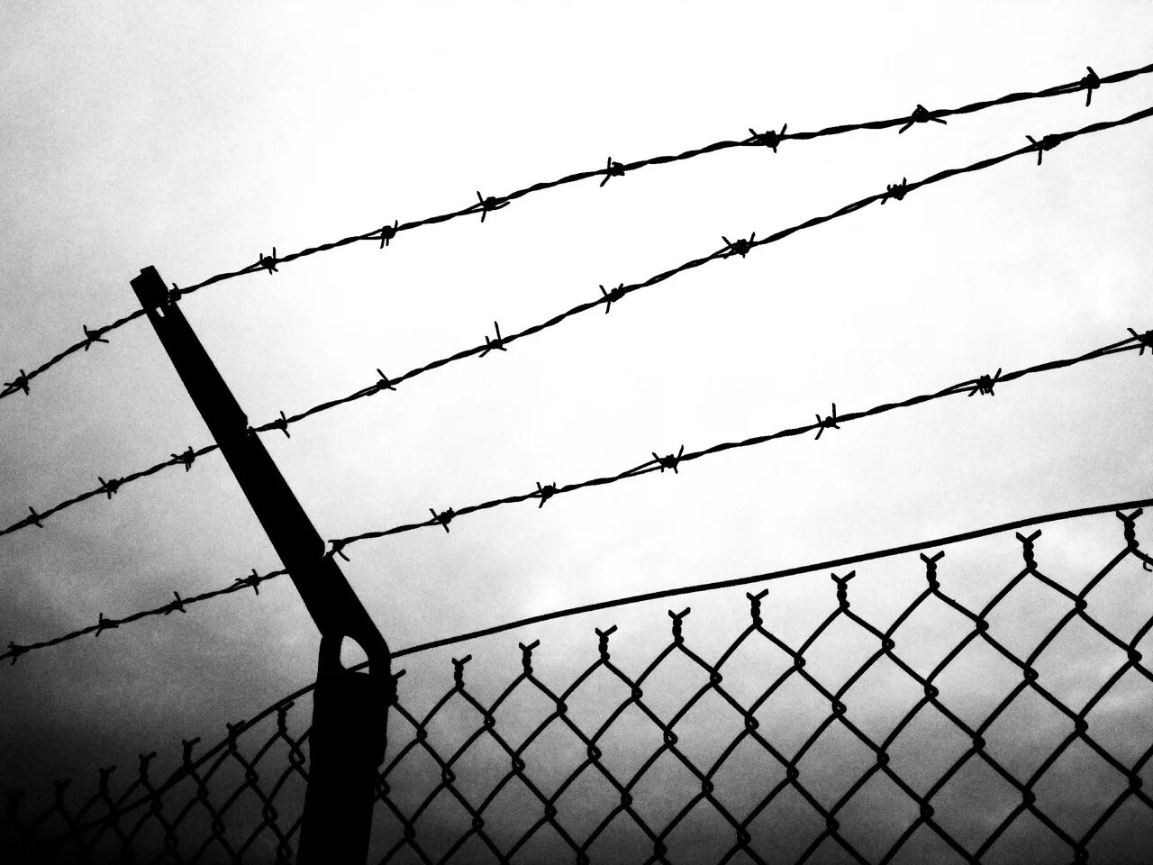 Филинков суд. Дело сети пенза. Фигуранты ленинградского дела. Фигуранты дела сети пенза. Матвеев и фигуранты дела.