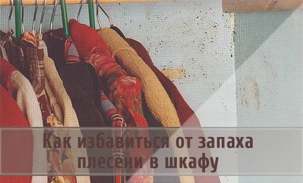 Сырость в шкафу с вещами. Сырость на мебели. Плесень в шкафу с одеждой. Плесень в шкафу с одеждой. Грибок в шкафу с одеждой.
