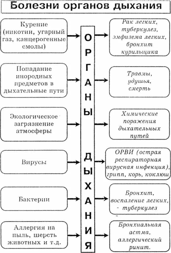 Структура заболеваний органов дыхания. Болезни органов дыхания их причины и профилактика таблица. классификация заболеваний органов дыхания. причины возникновения болезней органов дыхания. схема симптомов заболевания органов дыхания.