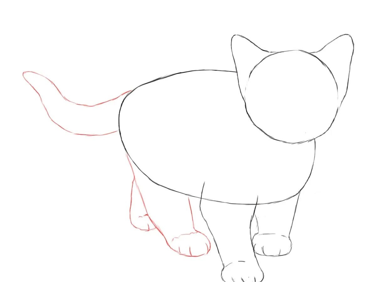 Рисовать поэтапно котиков. Котики для рисования. Как нарисовать кошку. Кот карандашом для детей. Кошка рисунок карандашом поэтапно.