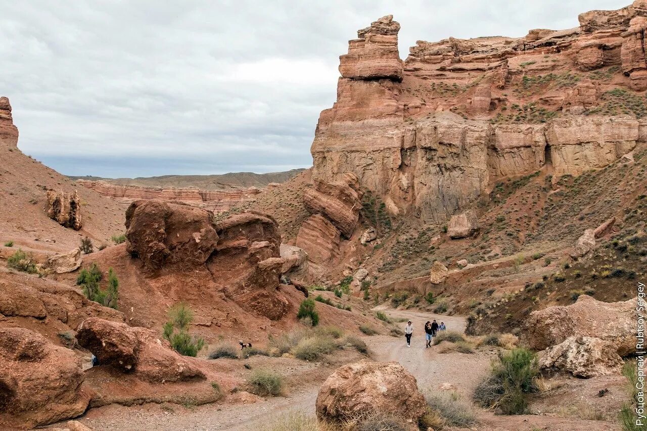 Canyon 10. Чарынский каньон Казахстан. Долина замков Чарынский каньон. Каньон Ошаганды Караганда. Чарынский каньон река Чарын.