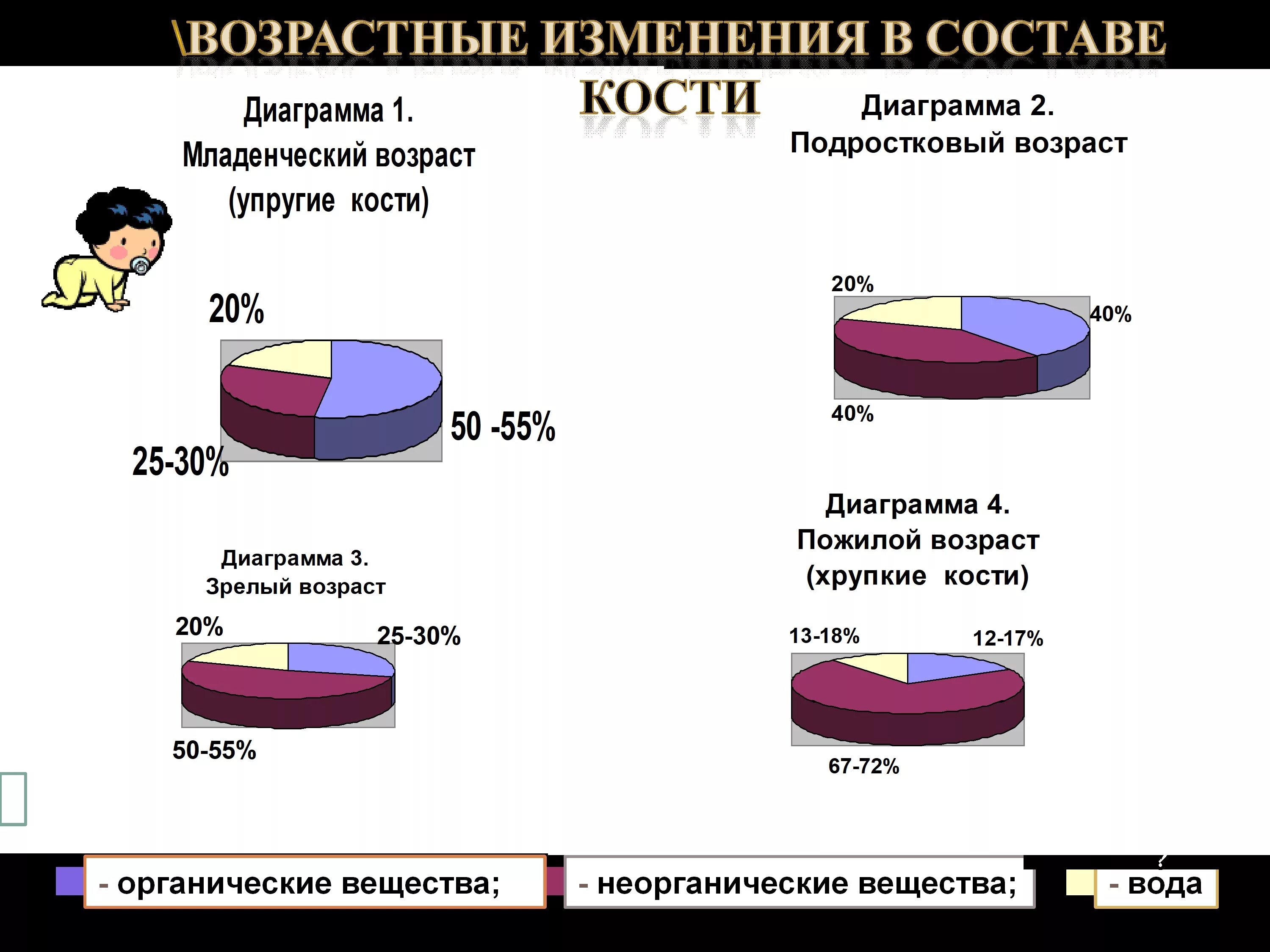 Возрастные изменения Кост. Как меняется химический состав костей с возрастом. Возрастные изменения химического состава костей. Как изменяется состав костей с возрастом. В химическом составе костей пожилого человека