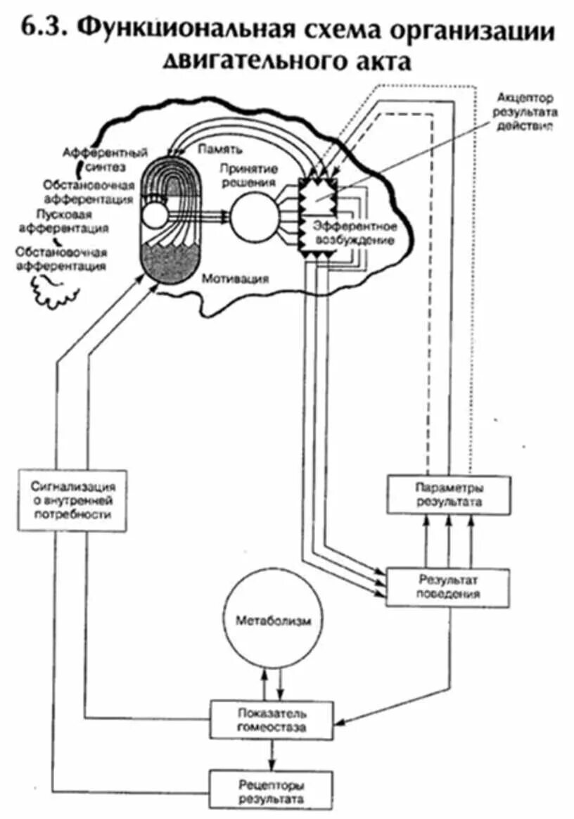 Функциональная система документации