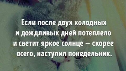 Особенно после