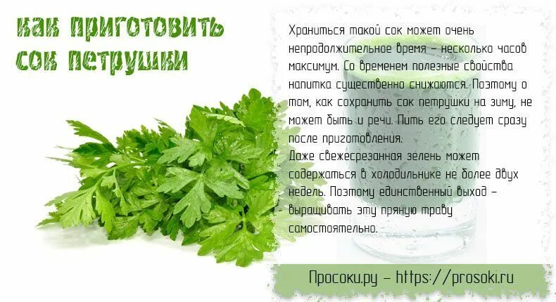 Сок укропа. Настой петрушки. Отвар из петрушки. Отвар петрушки для похудения. Настой из петрушки для похудения.