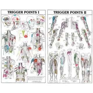 Trigger multiple