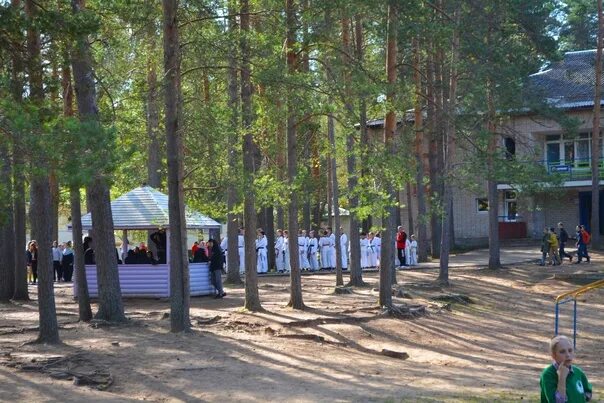 Детский лагерь новгородская область. Гверстянец Великий Новгород лагерь. Лагерь Гверстянец Новгородская область. Крестецкий район лагерь Гверстянец.