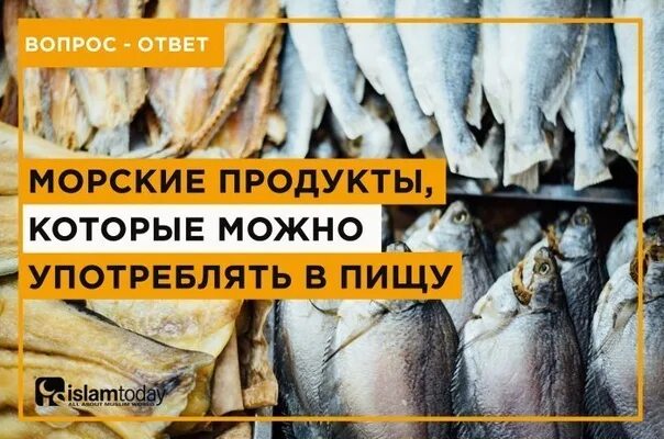 Мусульманские рыбы. Морепродукта мусульман. Запрещенные морепродукты в Исламе. Харам морепродукты. Какую рыбу можно мусульманам.