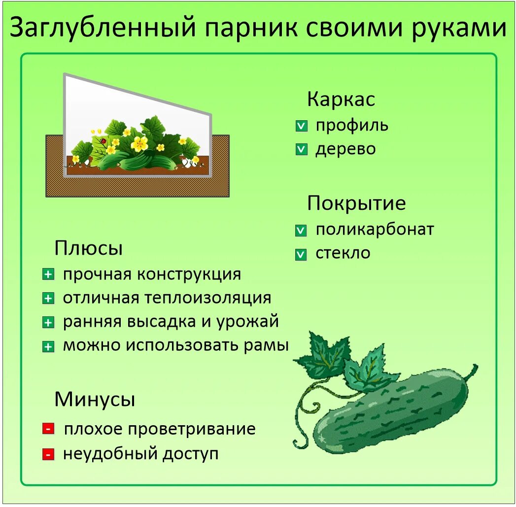 Как заглубить огурцы при посадке в грунт