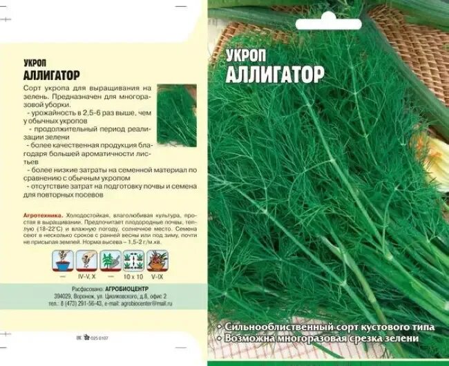 Укроп сорт крокодил. Укроп кустовой аллигатор. Семена укроп аллигатор. Укроп аллигатор фото описание. Укроп сорт крокодил.